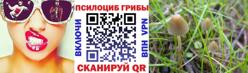 Псилоцибиновые грибы мухоморы  блэк спрут сайт  Тарко-Сале 